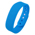 ARCTIC BLUE