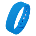 ARCTIC BLUE