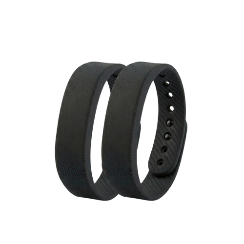 2 Bands